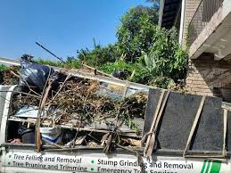 Best Commercial Junk Removal  in Battlement Mesa, CO